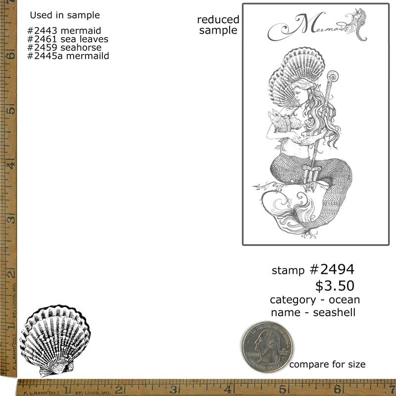 #2494 - Seashell - Ocean